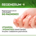 Regenerum, sérum fortalecedor de uñas, 8 ml