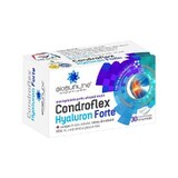 Chondroflex Hyaluron Forte, 30 tablets, Helcor