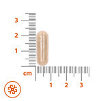 SEMA Lab Păr, piele, unghii, 60 capsule de celuloză SHORT DATE