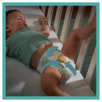 Pampers Active Baby, Windeln Größe 4, 9-14 kg, 180 PACKUNG DEFEKT Pampers Active Baby, Windeln Größe 4, 9-14 kg, 180 PACKUNG DEFEKT