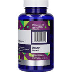 OPC Druivenpitextract, 60 capsules KORT GEWICHT OPC Druivenpitextract, 60 capsules KORT GEWICHT