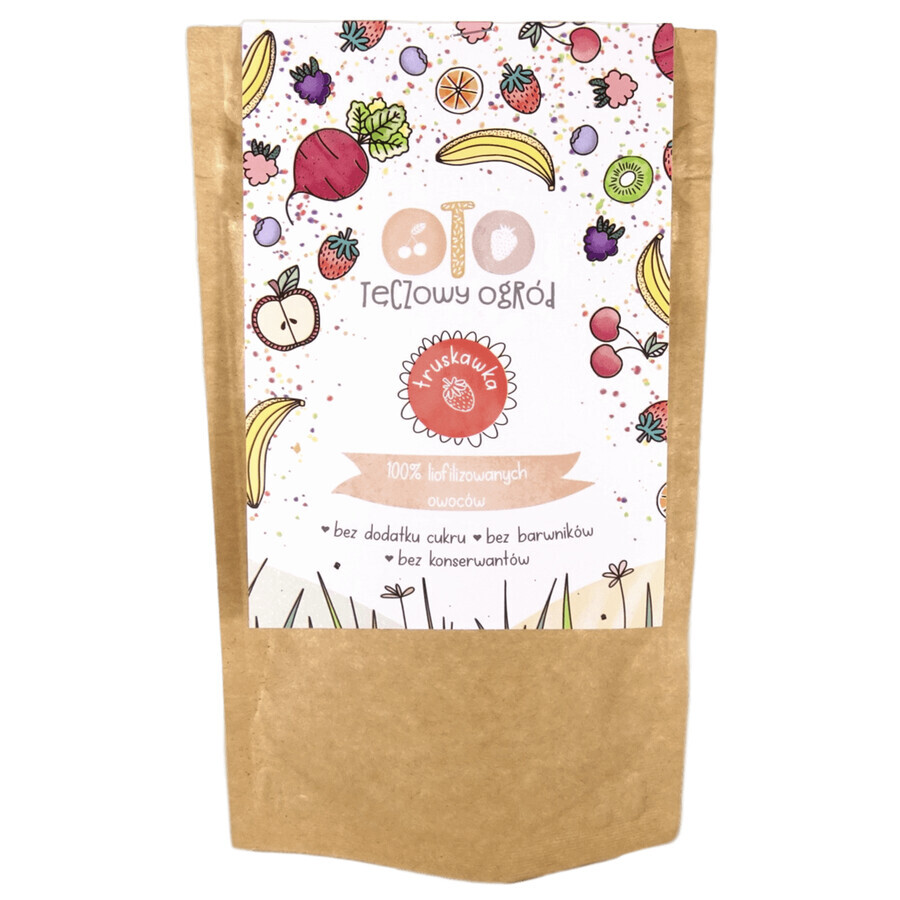 Buy OtoLandia OTO Rainbow Garden Freeze-dried strawberries, powder, 40 g OtoLandia OTO Rainbow Garden Freeze-dried strawberries, powder, 40 g