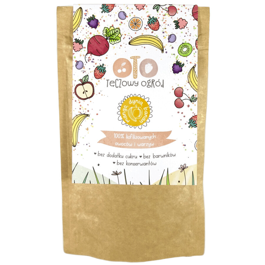 Cumpără OtoLandia OTO Rainbow Garden Mango, banane, dovleac liofilizat, pulbere, 40 g OtoLandia OTO Rainbow Garden Mango, banane, dovleac liofilizat, pulbere, 40 g