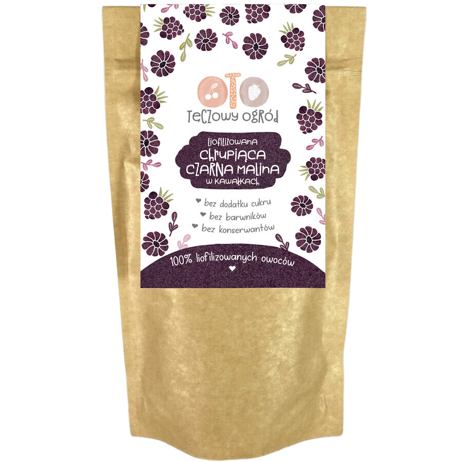 Acquista OtoLandia OTO Rainbow Garden Crunchy liofilizzato al lampone nero, in pezzi, 20 g OtoLandia OTO Rainbow Garden Crunchy liofilizzato al lampone nero, in pezzi, 20 g