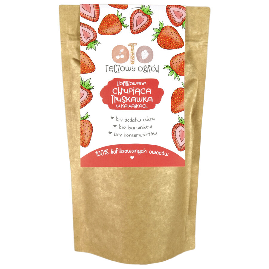 Boutique OtoLandia OTO Rainbow Garden Fraise lyophilisée croquante, en morceaux, 20 g OtoLandia OTO Rainbow Garden Fraise lyophilisée croquante, en morceaux, 20 g