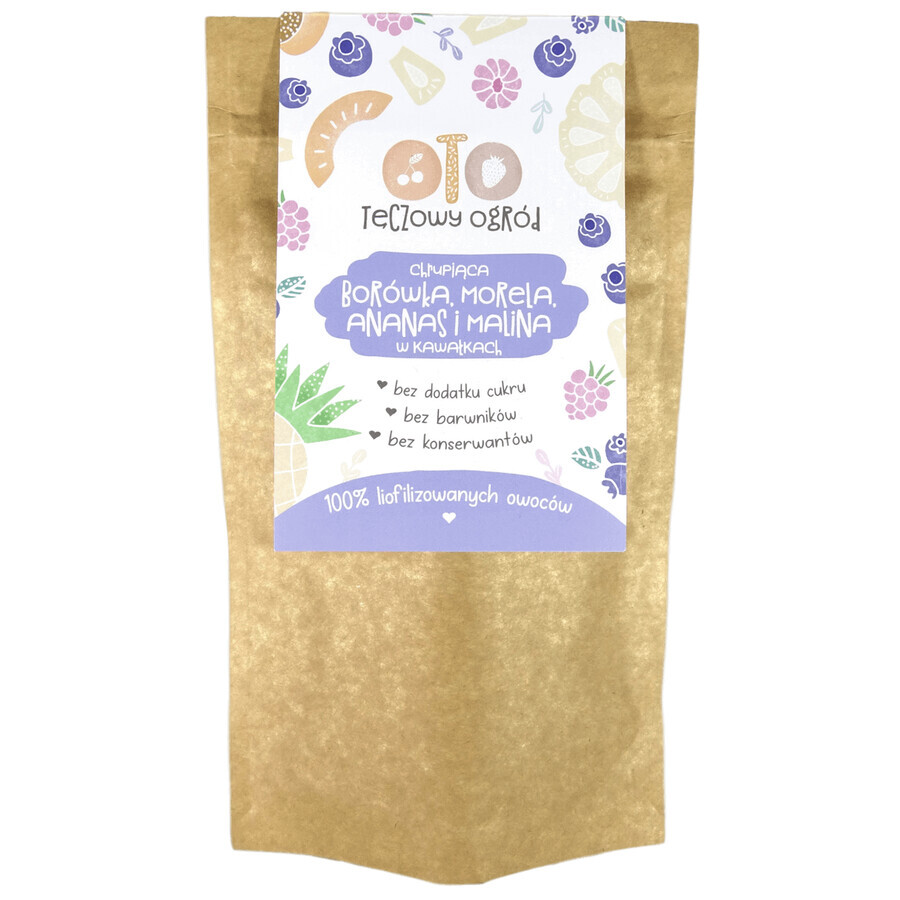 Acquista OtoLandia OTO Rainbow Garden Croccante di mirtilli, albicocche, ananas, lamponi liofilizzato, in pezzi, 20 g OtoLandia OTO Rainbow Garden Croccante di mirtilli, albicocche, ananas, lamponi liofilizzato, in pezzi, 20 g