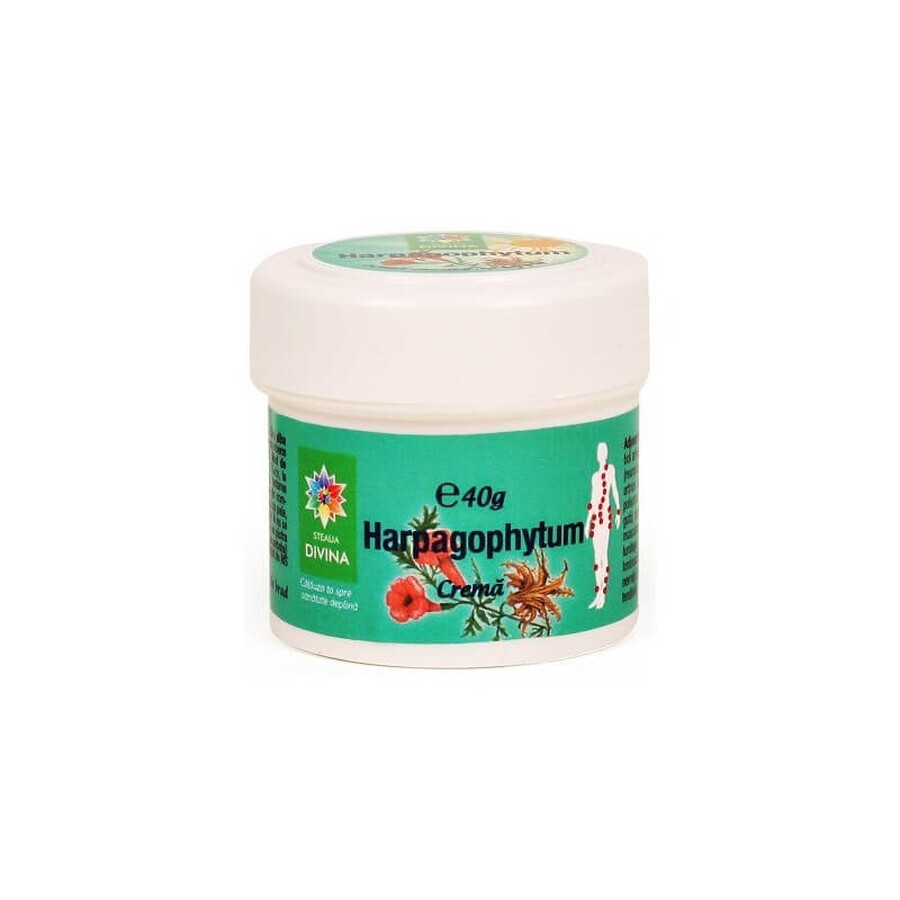Buy Harpagophytum cream, 40 grams, Steaua Divina Harpagophytum cream, 40 grams, Steaua Divina