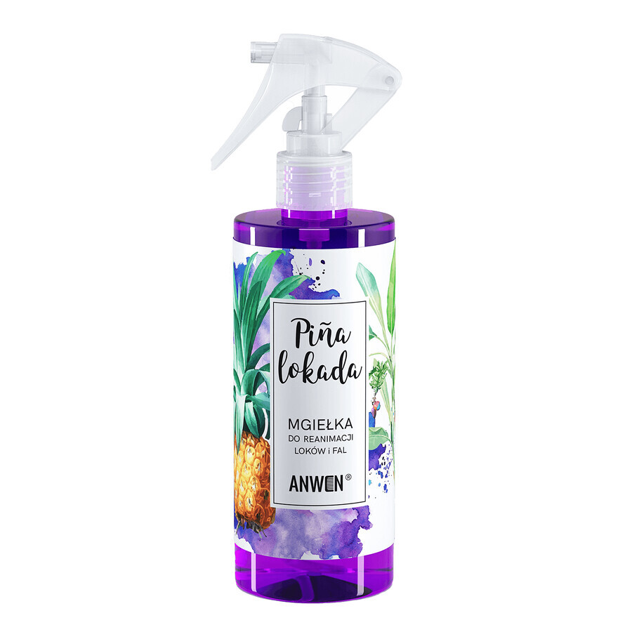 Acquista Anwen Pinalocade, nebbia rianimatrice per ricci e onde, 300 ml Anwen Pinalocade, nebbia rianimatrice per ricci e onde, 300 ml