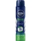 Nivea Men Fresh Sensation, spray antitranspirante para hombre, 250 ml
