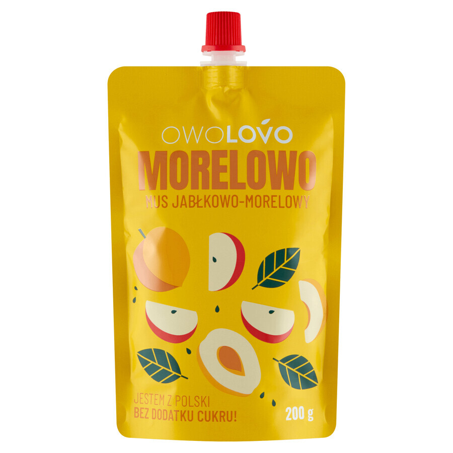 Winkel op Owolovo Mousse van abrikozenappel en limoen in een tube, 200 g Owolovo Mousse van abrikozenappel en limoen in een tube, 200 g