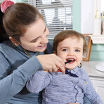 Mombella, elektrische tandenborstel, Lieveheersbeestje Dori, 10-12 maanden, 1 stuk Mombella, elektrische tandenborstel, Lieveheersbeestje Dori, 10-12 maanden, 1 stuk