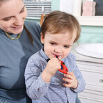 Mombella, elektrische tandenborstel, Lieveheersbeestje Dori, 10-12 maanden, 1 stuk Mombella, elektrische tandenborstel, Lieveheersbeestje Dori, 10-12 maanden, 1 stuk