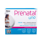 Set Prenatal DHA, 2x30 gélules + Prenatal UNO, 30 gélules + bouteille gratuite Set Prenatal DHA, 2x30 gélules + Prenatal UNO, 30 gélules + bouteille gratuite
