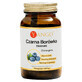 Yango Blueberry, 90 capsules
