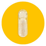 Nikalab Base Elke Dag Vrouw Twee (Zwangerschap), 60 veganistische capsules Nikalab Base Elke Dag Vrouw Twee (Zwangerschap), 60 veganistische capsules
