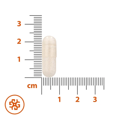 SEMA Lab Natriumbutyrat Max 300 mg, 60 Kapseln mit verzögerter Wirkstofffreisetzung