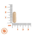 SEMA Lab Rapachon, 30 capsules SEMA Lab Rapachon, 30 capsules