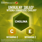 Set Essentia Proactive, 2 x 30 cápsulas + 30 cápsulas gratis Set Essentia Proactive, 2 x 30 cápsulas + 30 cápsulas gratis