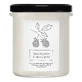 Hagi Himbeerzweig, Sojakerze, 230 g
