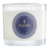 Flagolie, vela de aromaterapia de soja, eucalipto, 170 g