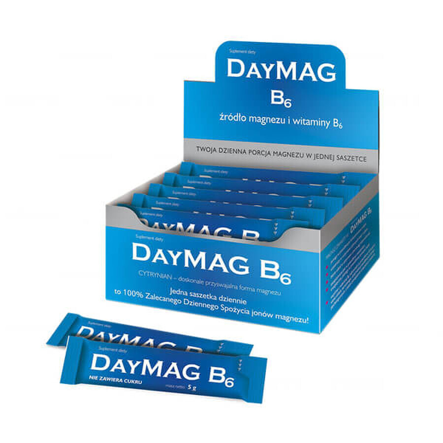 DayMag B6, 20 sachets + Galvenox gel, 30 g gratis