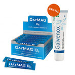 DayMag B6, 20 sachets + Galvenox gel, 30 g gratis DayMag B6, 20 sachets + Galvenox gel, 30 g gratis