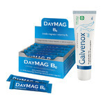 DayMag B6, 20 sachets + Galvenox gel, 30 g gratis DayMag B6, 20 sachets + Galvenox gel, 30 g gratis