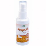 Virde propolis spray, 20% solution, 50 ml
