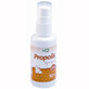 Virde, spray &#224; la propolis, solution &#224; 20%, 50 ml