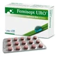 Femisept Uro, 60 tablets