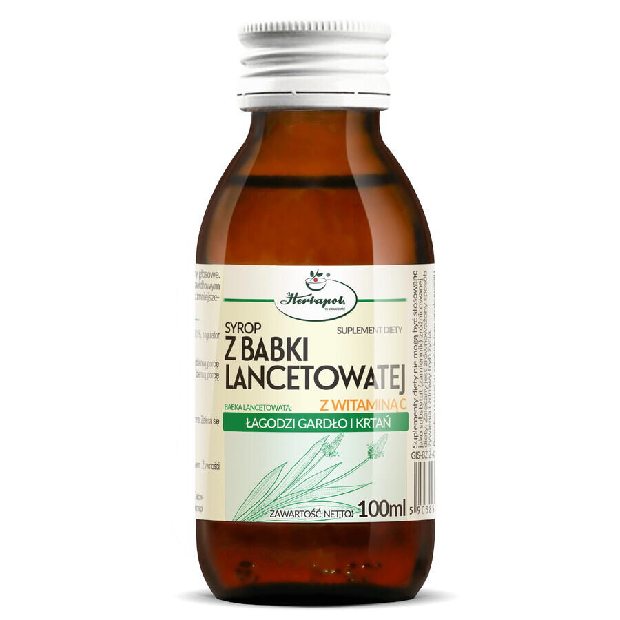 Buy Herbapol St. John's wort syrup with vitamin C, 100 ml Herbapol St. John's wort syrup with vitamin C, 100 ml