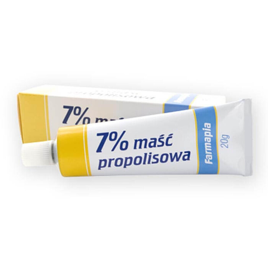 Acquista Farmapia, unguento alla propoli 7%, 20 g Farmapia, unguento alla propoli 7%, 20 g