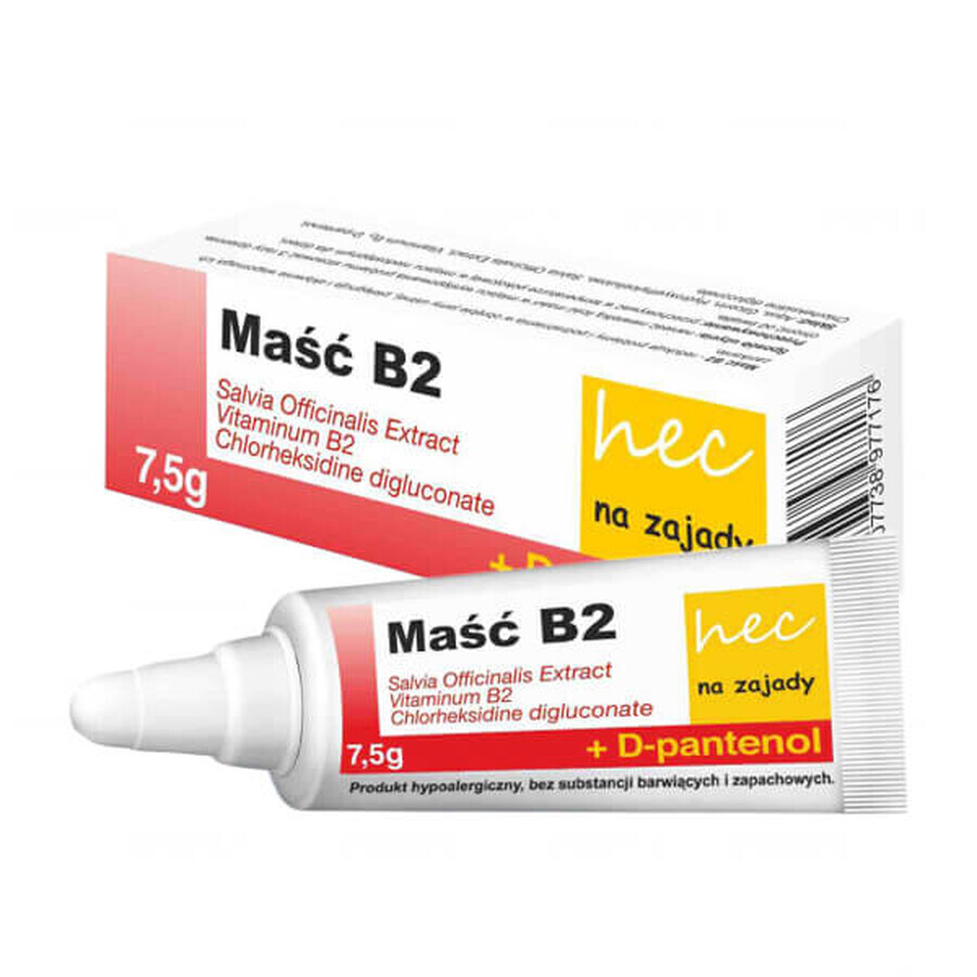 Winkel op Hecpharma, B2 Hec zalf, tegen acrimonie, 7,5 g Hecpharma, B2 Hec zalf, tegen acrimonie, 7,5 g