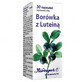 Herbapol Blueberry with lutein, 30 capsules
