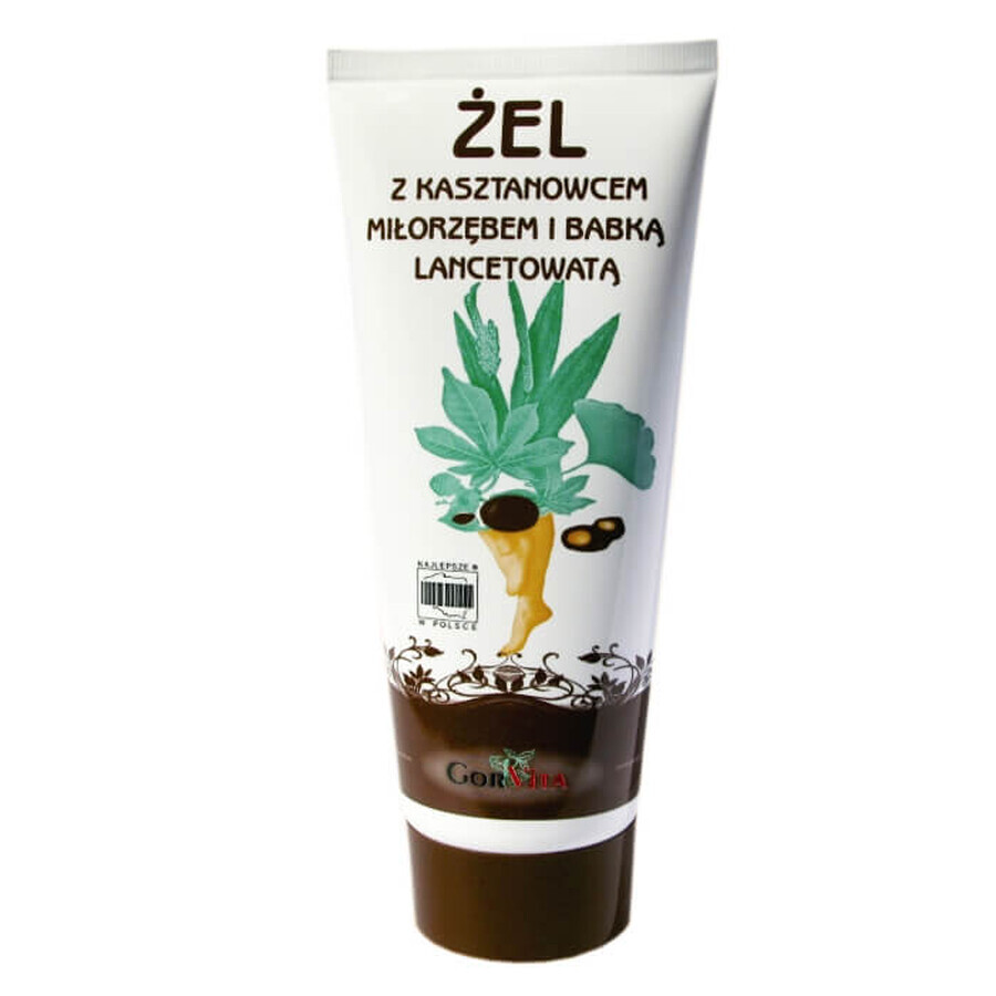 Buy GorVita, gel with horse chestnut, ginkgo and plantain, 200 ml GorVita, gel with horse chestnut, ginkgo and plantain, 200 ml