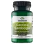 Swanson Garcinia Cambogia-extract, Malabar tamarinde, 60 capsules