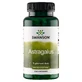 Swanson Vollspektrum Astragalus-Wurzel, Astragalus, 100 Kapseln