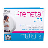 Prenatal One, 30 capsules