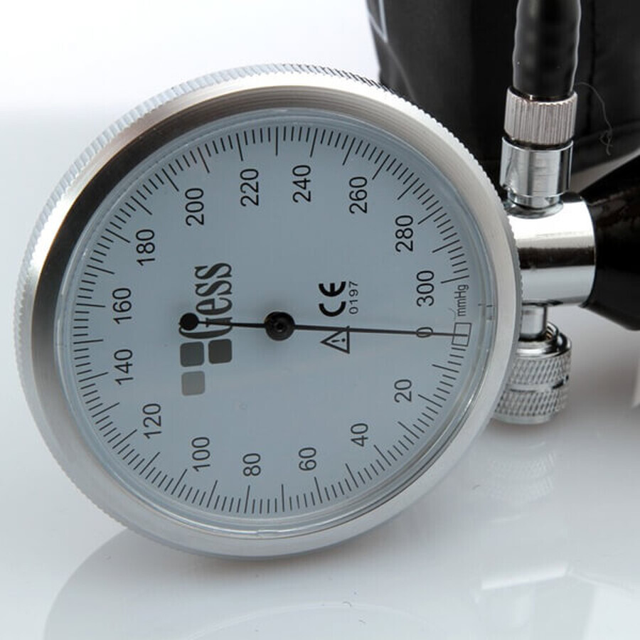 Gess Delux BK2015, blood pressure monitor with integrated dial