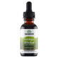 Swanson Ginkgo Biloba Fl&#252;ssigextrakt, Ginkgo Biloba, 29,6 ml