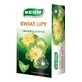 Belin Lime Blossom, herbal tea, 2 gx 20 sachets