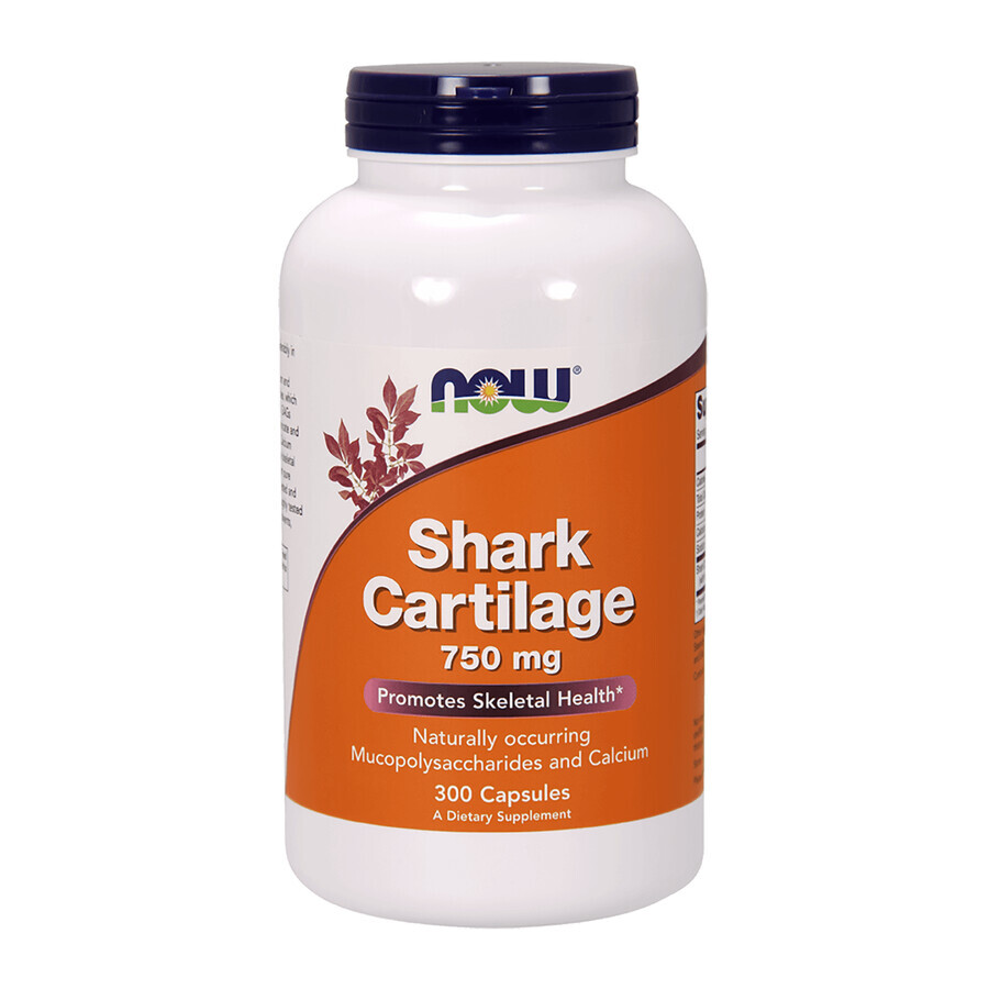 Boutique Now Foods Shark Cartilage 750 mg, cartilage de requin, 300 gélules Now Foods Shark Cartilage 750 mg, cartilage de requin, 300 gélules