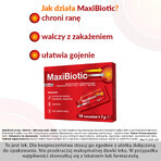 Maxibiotic (5 mg + 5000 UI + 400 UI)/g, zalf, 1 g x 10 sachets