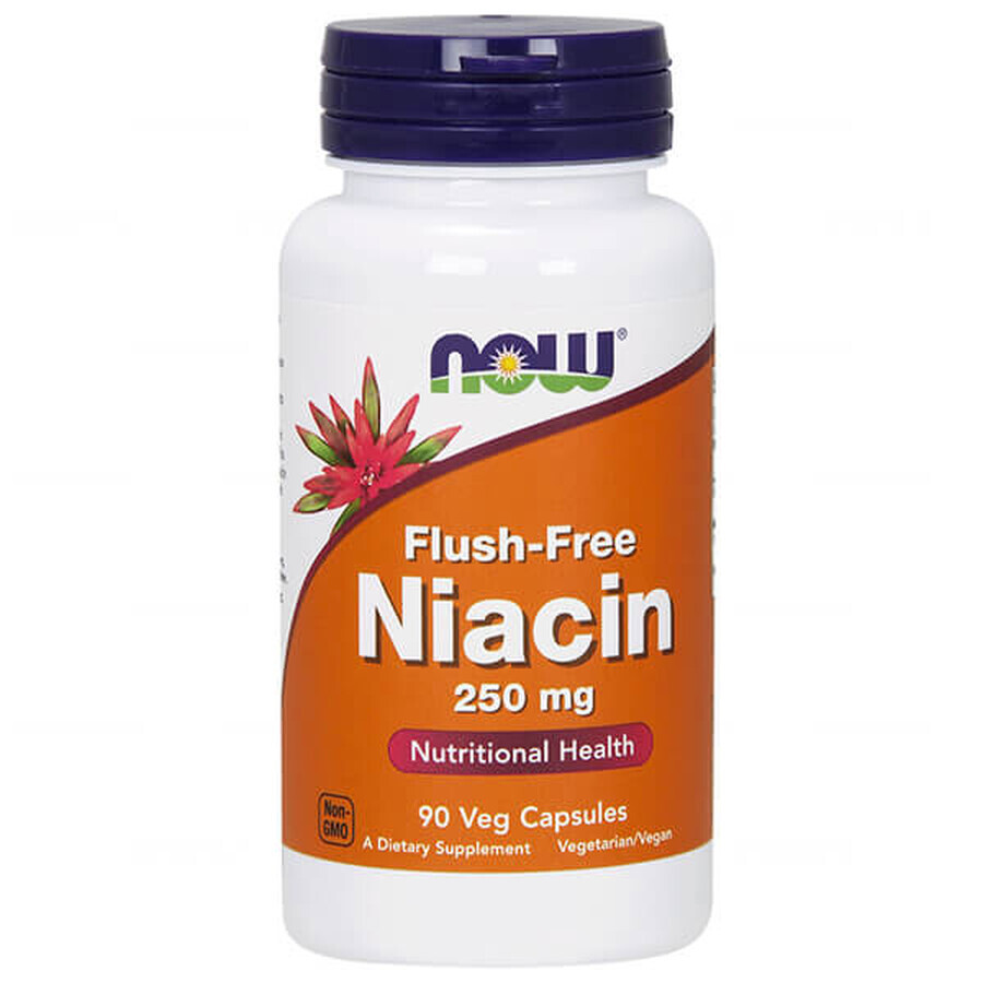 Comprar Now Foods Flush-Free Niacin, niacina 250 mg, 90 cápsulas Now Foods Flush-Free Niacin, niacina 250 mg, 90 cápsulas