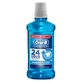 Oral-B Pro-Expert, mouthwash, professional protection, 500 ml