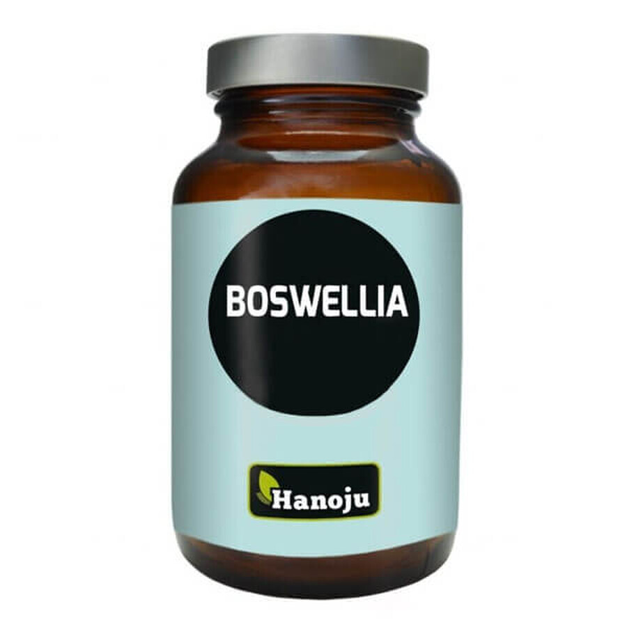 Shop Hanoju Boswellia, 180 Kapseln Hanoju Boswellia, 180 Kapseln