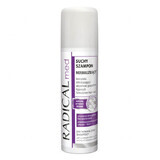 Radical Med Normalizing Dry Shampoo 150 ml