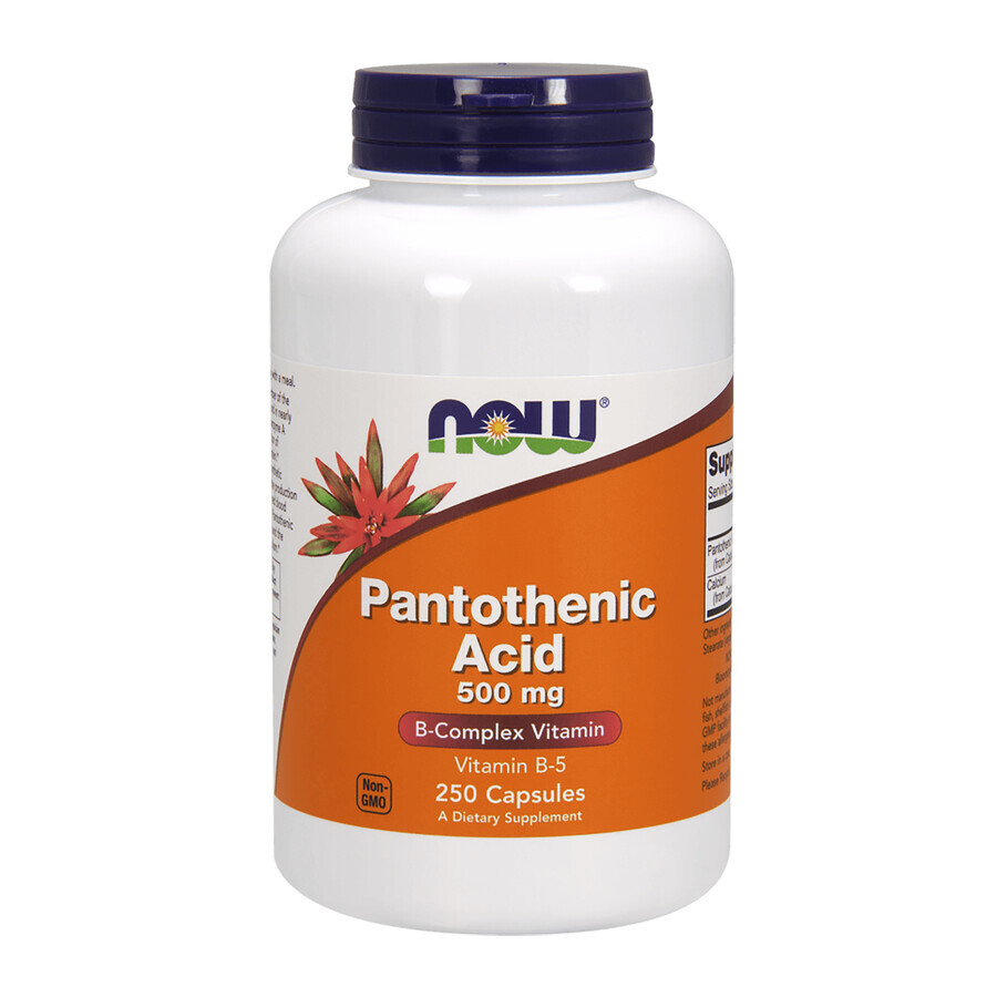 Boutique Now Foods Pantothenic Acid, Acide pantothénique 500 mg, 250 gélules végétales Now Foods Pantothenic Acid, Acide pantothénique 500 mg, 250 gélules végétales