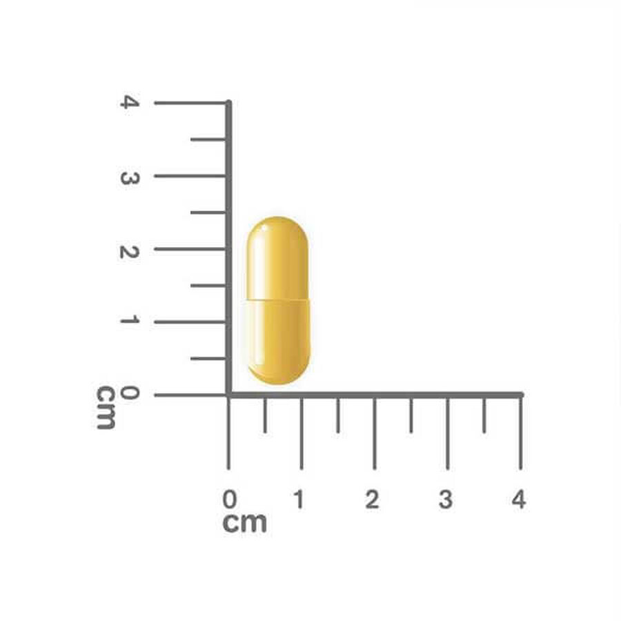 Estabiom Junior, pour les enfants de plus de 3 ans, 20 gélules Estabiom Junior, pour les enfants de plus de 3 ans, 20 gélules