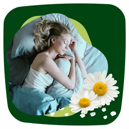 Naturella Ultra, maandverband met vleugels, kamille, Nacht, 14 st.